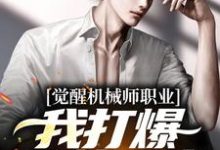 求觉醒机械师职业,我打爆凶兽异魔小说的全文免费阅读链接-红梅文学