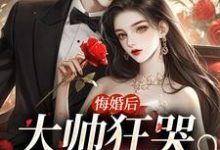 悔婚后大帅狂哭三十三天小说,悔婚后大帅狂哭三十三天免费阅读-红梅文学