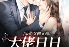 完结版《呆萌女佣又逃,大佬日日被急哭》章节阅读-红梅文学