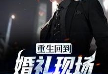 求推荐可以免费阅读重生回到婚礼现场,先解除婚约小说的网站-红梅文学