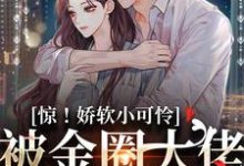 《惊!娇软小可怜被金圈大佬缠上了》全集免费在线阅读(贺忍奚舒沅)-红梅文学