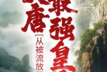 《大唐最强皇子:从被流放开始》小说章节列表免费试读,李祐小说在线阅读-红梅文学