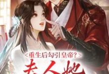 重生后勾引皇帝?夫人她红杏出墙啦(徐晚凝)在线免费阅读-红梅文学