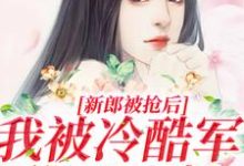 小说《新郎被抢后，我被冷酷军爷日日宠》章节阅读-红梅文学
