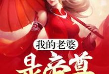 求推荐可以免费阅读我的老婆是帝尊小说的网站-红梅文学