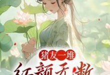 猪友一堆,红颜无数,这叫年少有为小说的无弹窗阅读体验,寻找免费阅读网站-红梅文学