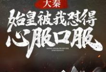 大秦:始皇被我怼得心服口服小说阅读,大秦:始皇被我怼得心服口服完结版-红梅文学