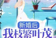 新婚后,我枝繁叶茂多子多福小说阅读,新婚后,我枝繁叶茂多子多福完结版-红梅文学