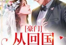 小说《豪门:从回国开始相爱》章节免费阅读-红梅文学