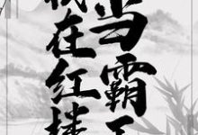 《我在红楼当霸王》小说贾环薛宝钗章节章节免费在线阅读-红梅文学