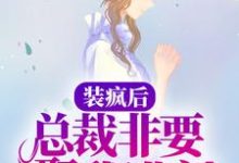 装疯后,总裁非要娶我进门小说完结了吗?在哪里可以免费读到?-红梅文学