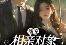 免费在线阅读甜宠:相亲对象是甲方大佬小说的正规网站有哪些?-红梅文学