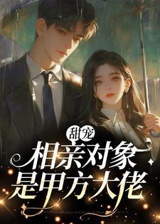 免费在线阅读甜宠：相亲对象是甲方大佬小说的正规网站有哪些？