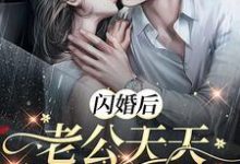 已完结小说《闪婚后,老公天天让我生二胎!》章节在线阅读-红梅文学