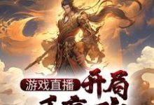 游戏直播:开局一手嬴政,震惊祖龙这本小说在哪里可以看?哪里有免费试读章节?-红梅文学