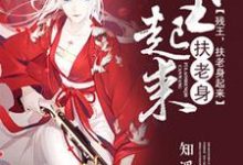 残王,扶老身起来小说完结版章节免费阅读-红梅文学