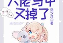 夜轻尘顾瑾楠景连城系统小说《快穿:大佬马甲又掉了》在线阅读-红梅文学