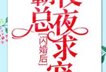 《闪婚后:霸总夜夜求宠》小说大结局免费试读 安然乔御琛黎穗霍谨之小说-红梅文学