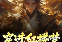 贾琛小说《穿进红楼梦,开局被充军》在线阅读-红梅文学