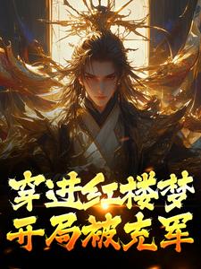 贾琛小说《穿进红楼梦，开局被充军》在线阅读