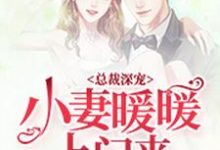 总裁深宠:小妻暖暖上门来小说最新章节在哪里可以读到?-红梅文学