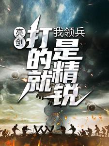亮剑：我领兵，打的就是精锐！小说全文阅读需要付费吗？寻找免费资源
