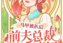 初之心盛霆烨小说马甲被扒后,前夫总裁悔不当初在线阅读章节-红梅文学