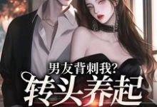 男友背刺我?转头养起小白脸小说有没有完整的免费版本在线阅读?-红梅文学