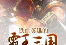 《铁血英雄的霸王三国》小说范力刘协陈智李雄章节章节免费在线阅读-红梅文学