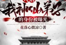 小说《大唐:我神仙弟子的身份被曝光》在线章节阅读-红梅文学