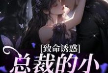致命诱惑:总裁的小娇妻被独宠免费阅读,致命诱惑:总裁的小娇妻被独宠章节在线阅读-红梅文学