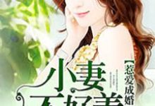 惹爱成婚：小妻不好养黎玥顾承皓南宫紫，惹爱成婚：小妻不好养最新章节-红梅文学