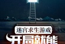 《迷宫求生游戏:开局就能看到提示》全集免费在线阅读(周晨叶诗诗)-红梅文学