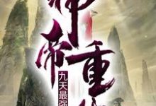 小说《神帝重生:九天最强赘婿》在线章节阅读-红梅文学