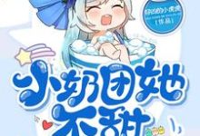 陆湾湾陆尧司夜枭小说小奶团她不甜不要钱在线阅读-红梅文学