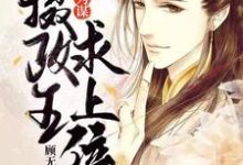 乱世为谋:摄政王求上位小说阅读,乱世为谋:摄政王求上位完结版-红梅文学