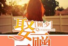 顾少,娶一赠二免费阅读,顾少,娶一赠二章节在线阅读-红梅文学