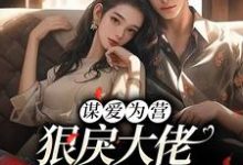 谋爱为营:狠戾大佬独宠我一人小说,谋爱为营:狠戾大佬独宠我一人免费阅读-红梅文学