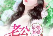 最强宠婚：老公放肆宠小说阅读，最强宠婚：老公放肆宠完结版-红梅文学