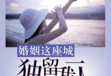 小说《婚姻这座城,独留我一人》章节阅读-红梅文学