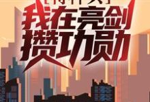 完结版《特种兵:我在亮剑攒功勋》免费阅读-红梅文学