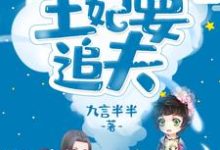 团宠王妃要追夫免费阅读,团宠王妃要追夫九言半半-红梅文学