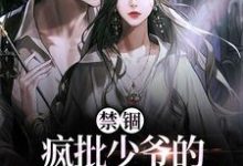 在线寻找禁锢:疯批少爷的笼中雀又矫又魅小说的无删减版本-红梅文学