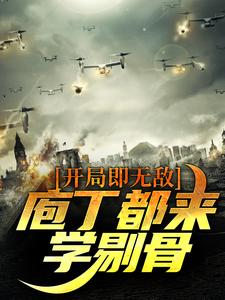 许泉秦鄢柔小说完结版在线阅读，开局即无敌，庖丁都来学剔骨免费看