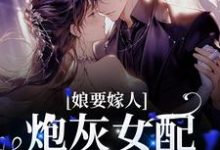 娘要嫁人:炮灰女配她逆袭了魏淑清赵大虎在线章节免费阅读-红梅文学