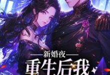 沈南溪傅时宴小说新婚夜:重生后我扑倒冷面霸总章节免费阅读-红梅文学