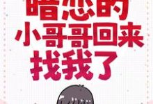 长大后，暗恋的小哥哥回来找我了小说的免费电子版在哪里可以下载或阅读？-红梅文学