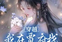 完结版《穿越:我在贾府找黛玉吃烤肉》在线免费阅读-红梅文学