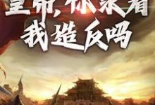 《削藩交兵权，皇帝，你求着我造反吗》小说沈河章节章节免费在线阅读-红梅文学