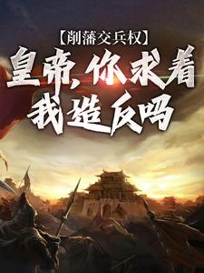 《削藩交兵权，皇帝，你求着我造反吗》小说沈河章节章节免费在线阅读